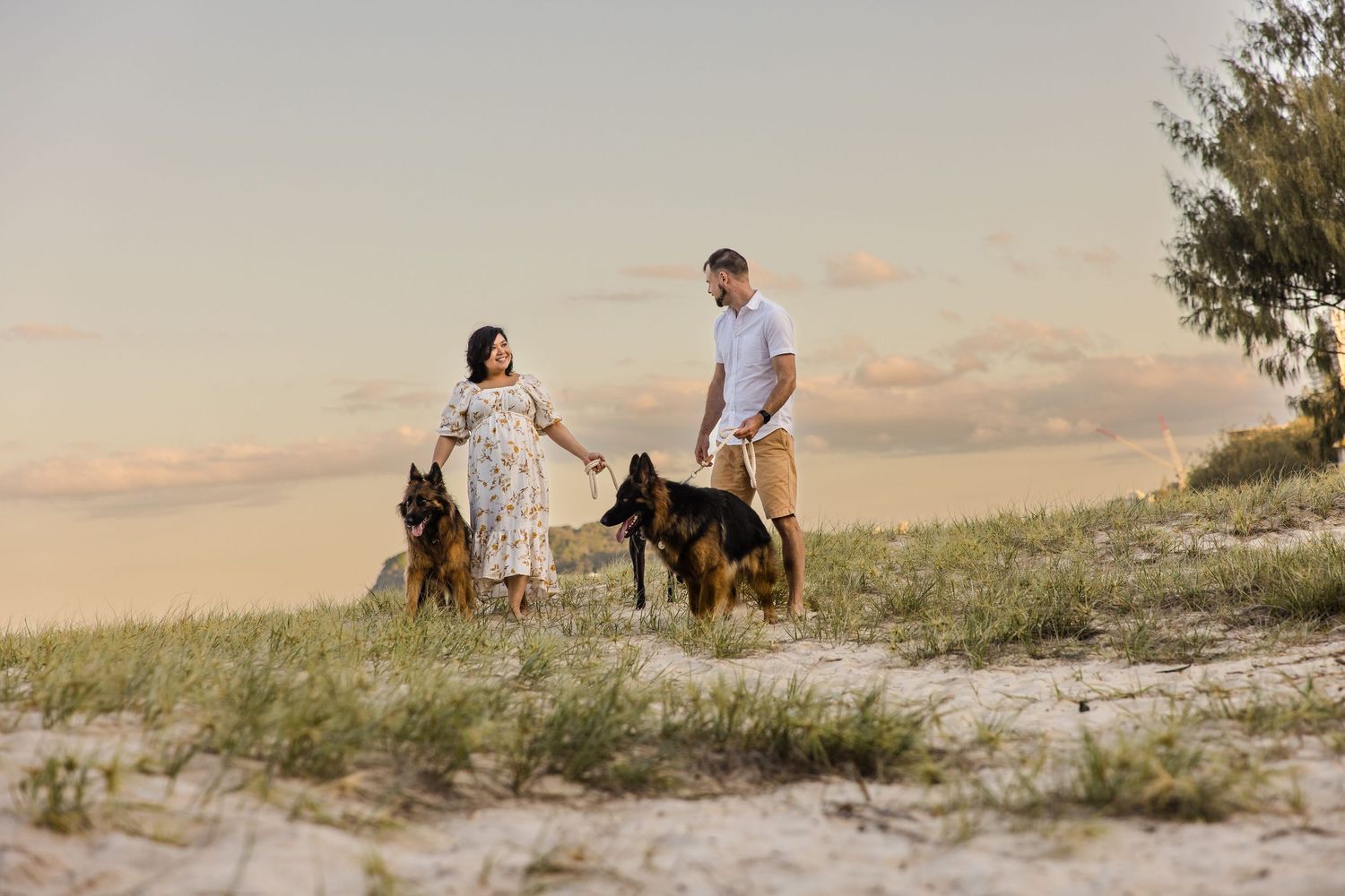 A couple walks their dogs together on a sandy hillside during sunset with golden light illuminating the scene.