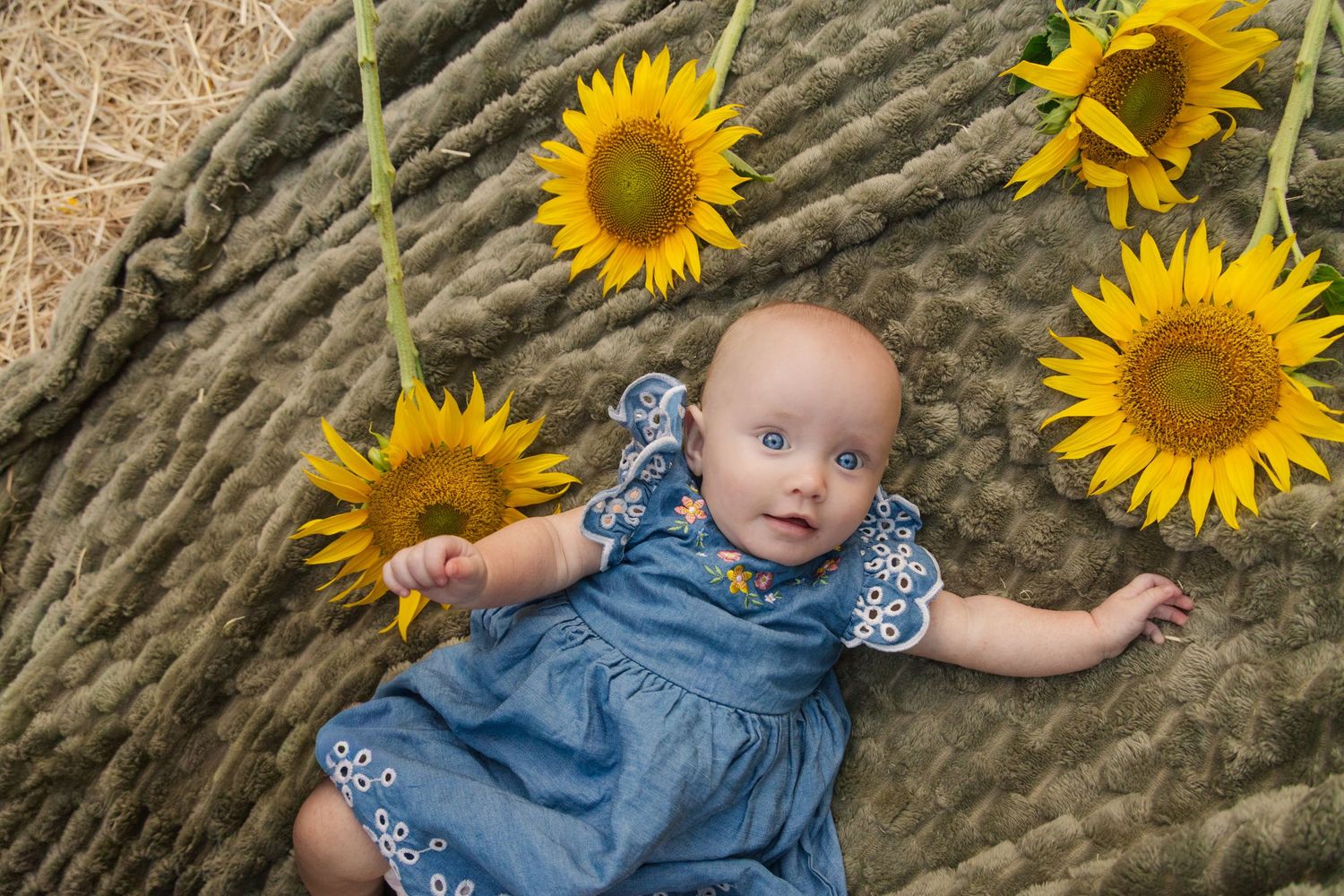 Baby girl in blue dress lying on textured blanket surrounded by bright yellow sunflowers, smiling up at camera.