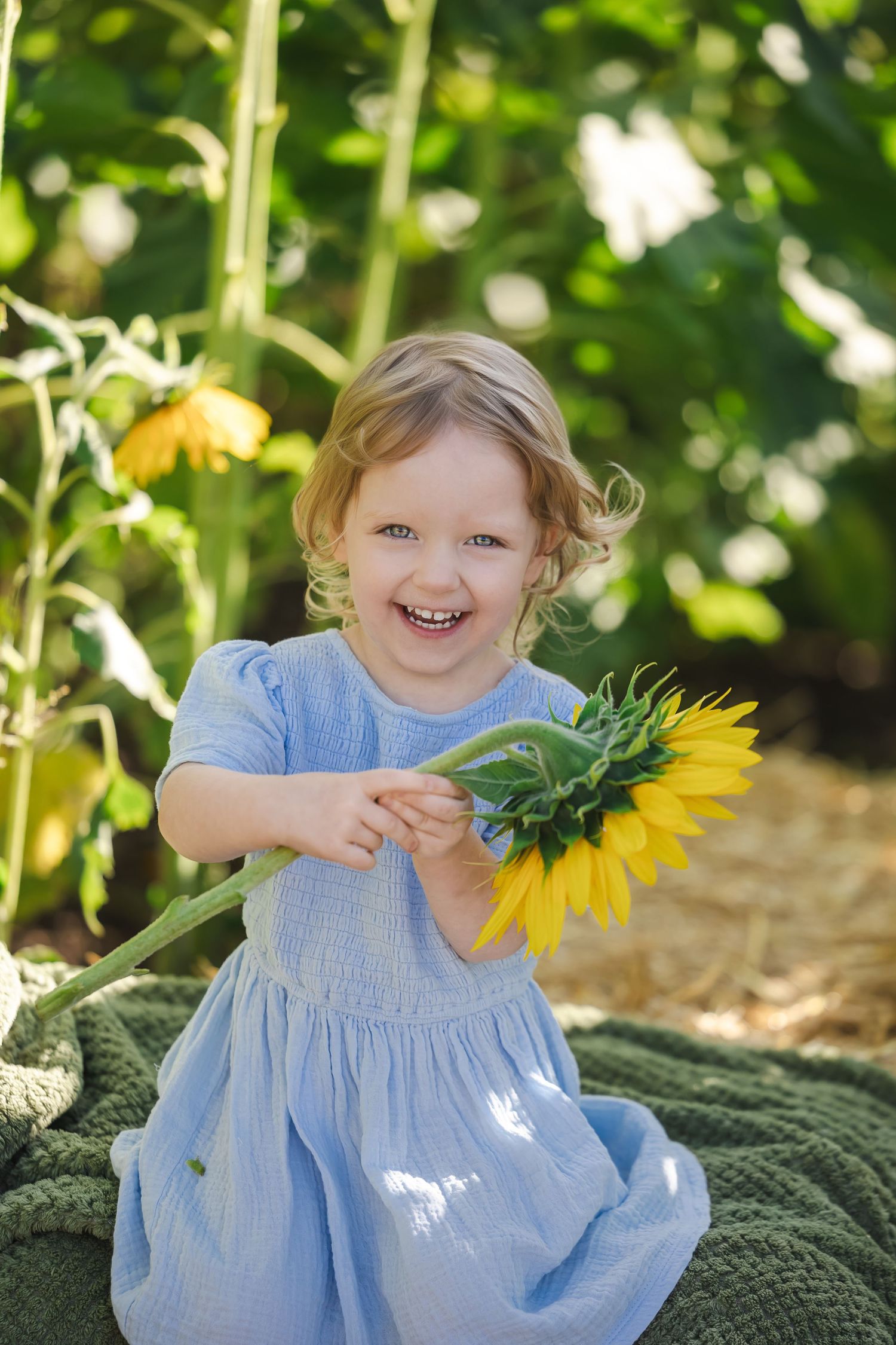 Happy toddler girl in blue dress laughing while holding a sunflower in a sunny garden.