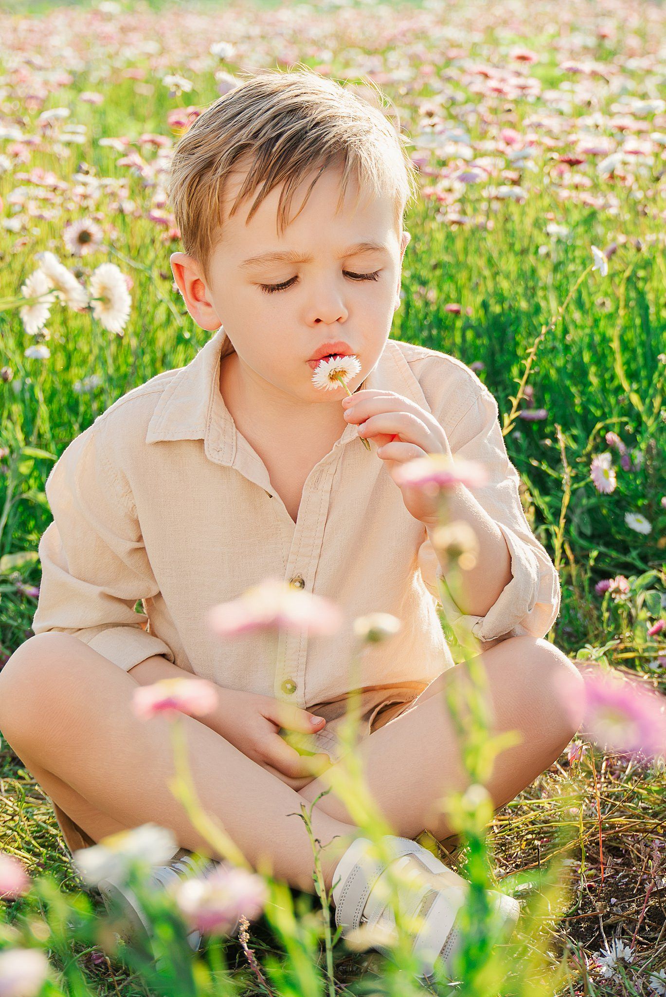 Young boy in a beige linen shirt sits cross-legged in a sunny flower meadow, gently blowing on a small pink daisy.