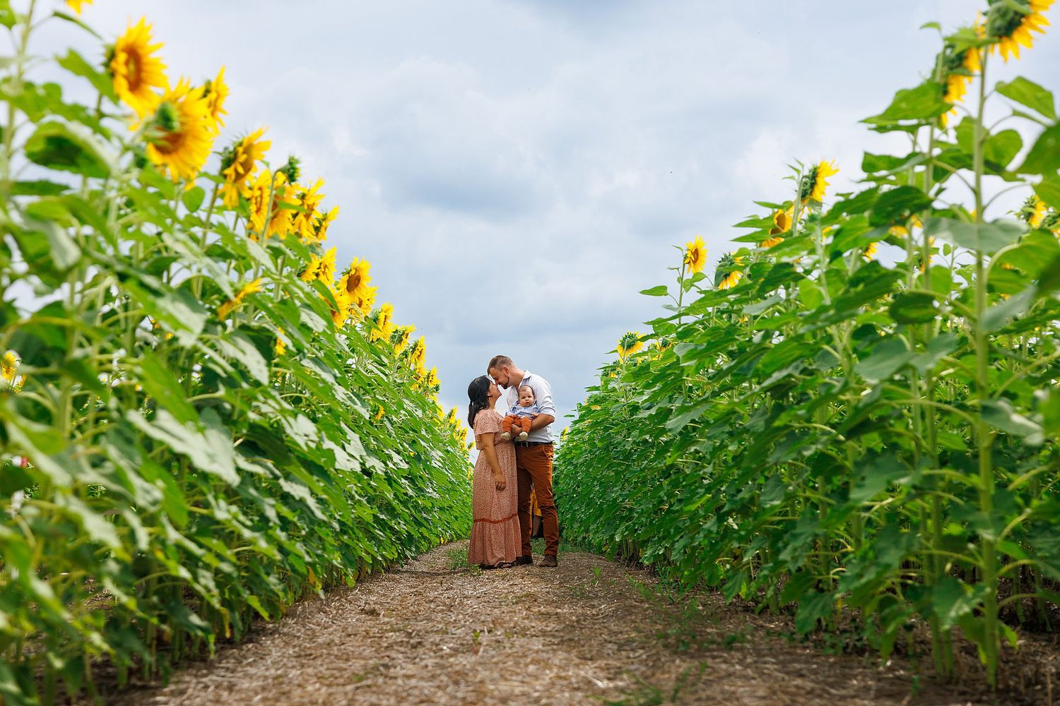 A loving couple embraces in a golden sunflower field path under cloudy summer skies.