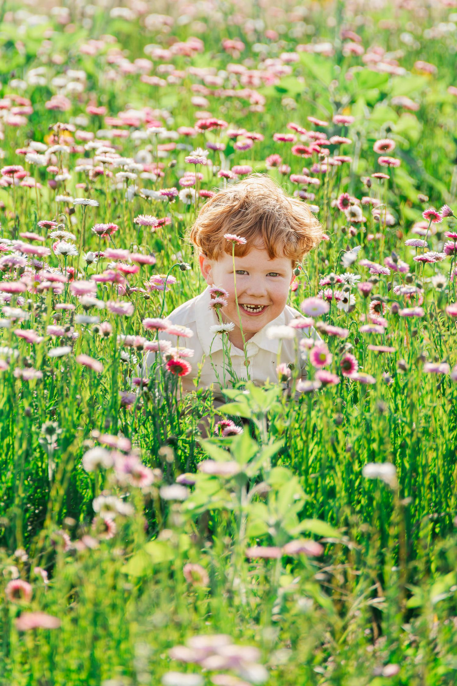 Smiling red-haired boy sitting among pink wildflowers and green grass in a sunny meadow.