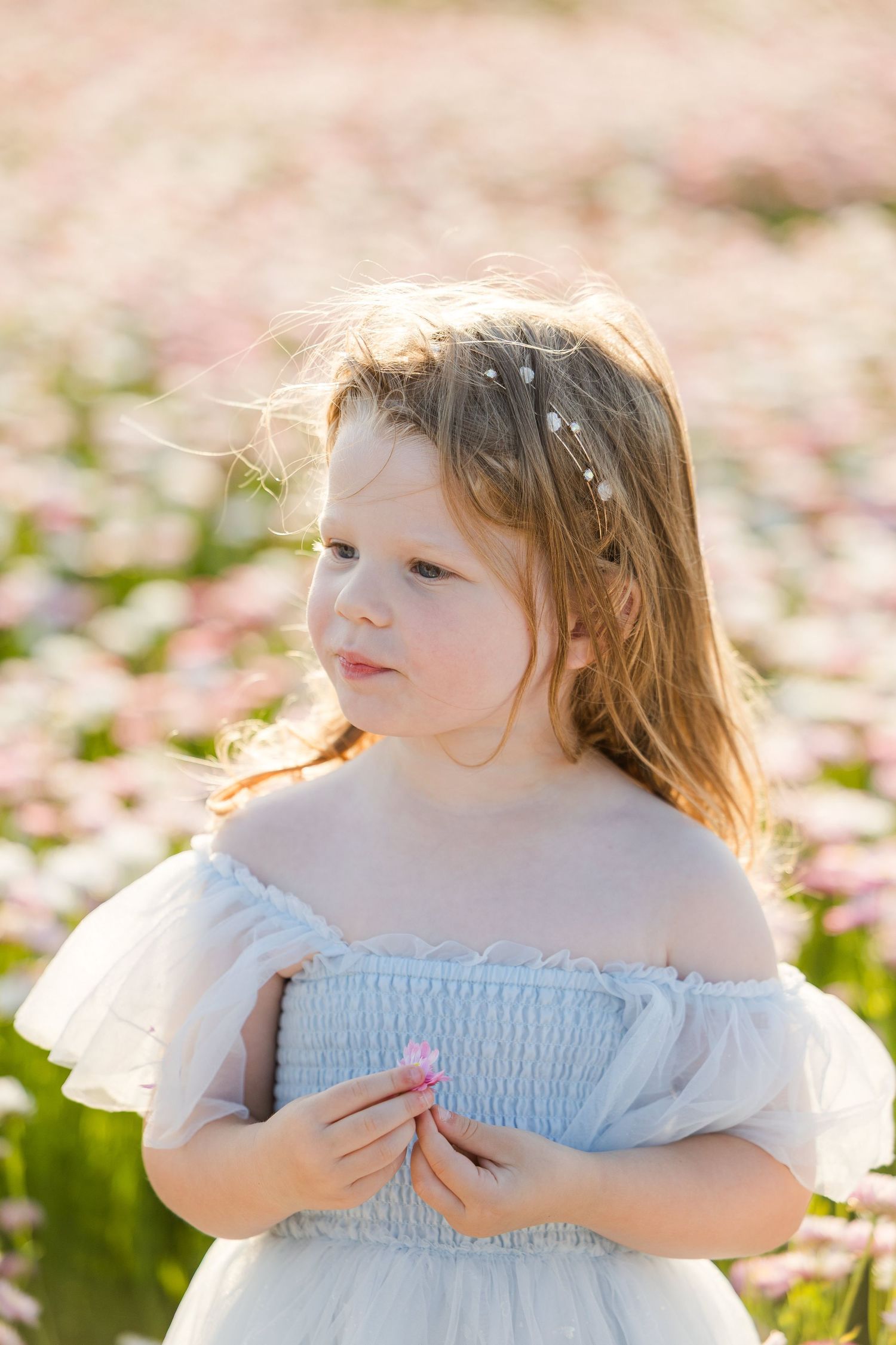 Young girl in blue off-shoulder dress standing in a pink flower field, holding a small bloom.