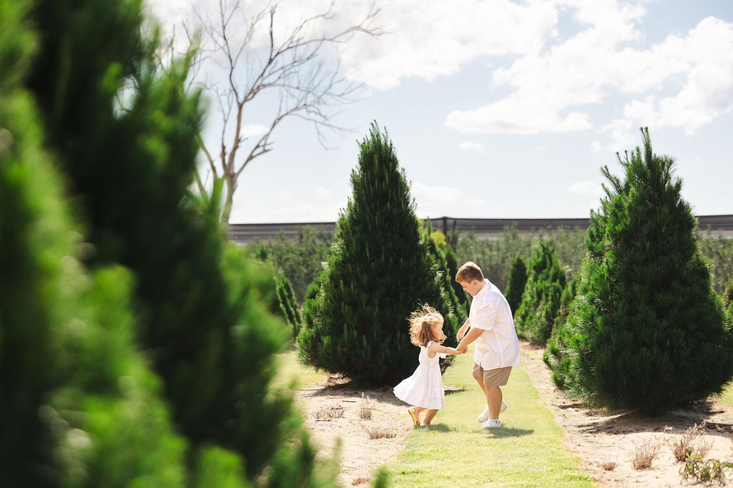 A series of wedding photos captured in a garden setting with evergreen trees and natural landscape elements.