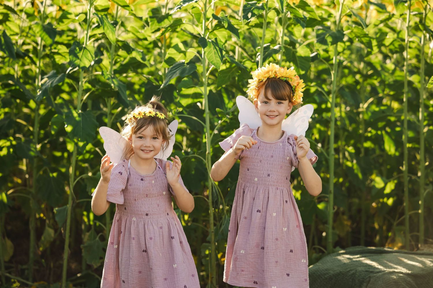 Two young girls in matching pink dresses and fairy wings pose in a sunflower field wearing floral crowns.