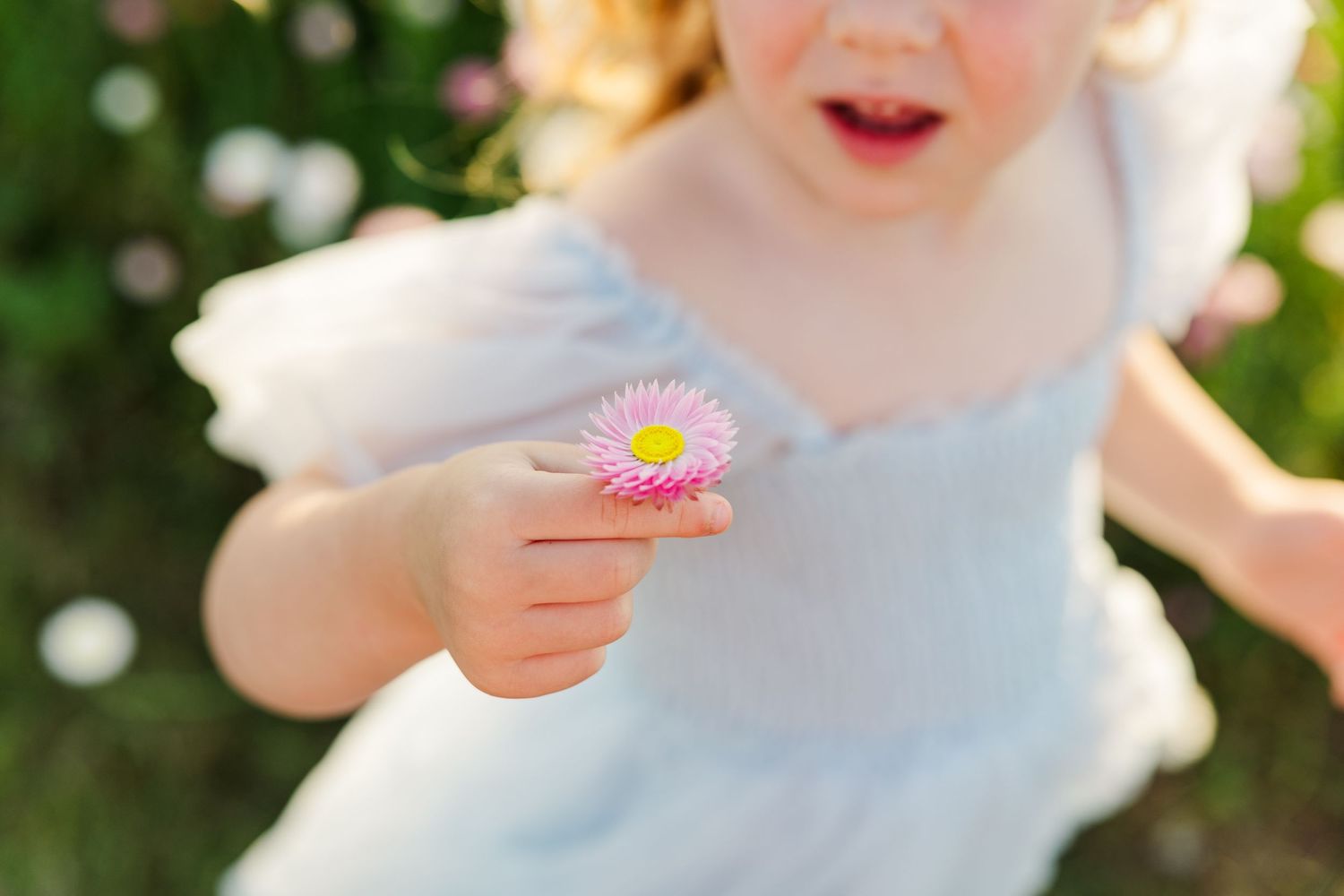 Young girl in blue dress holding a pink daisy flower outdoors in a garden setting.