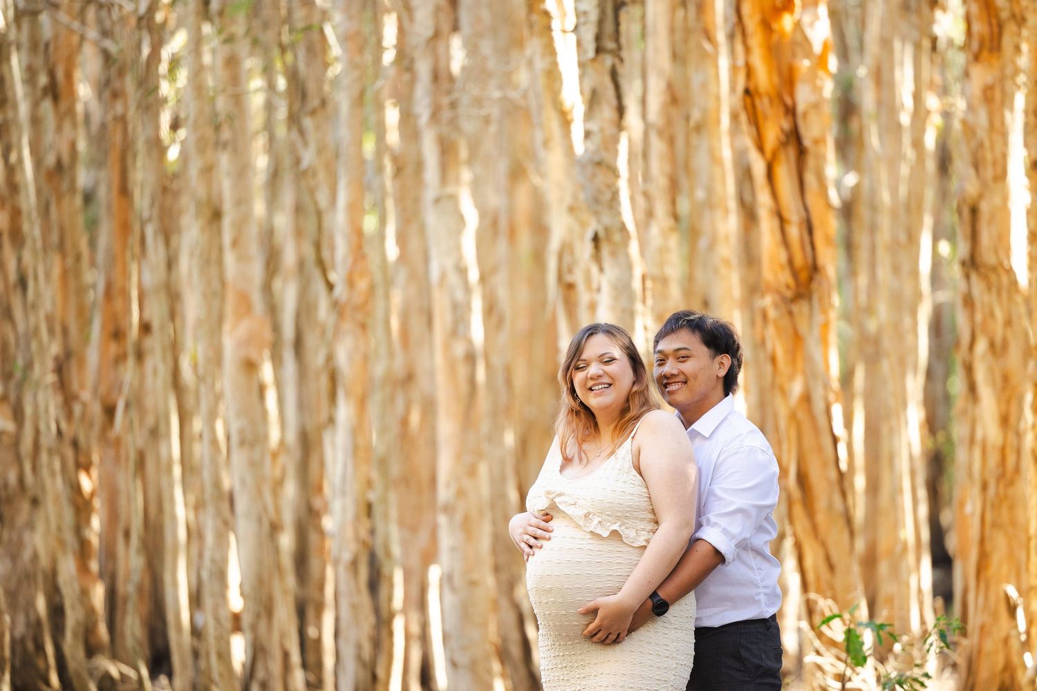 A couple shares romantic moments in a sun-drenched eucalyptus forest during a photo session.