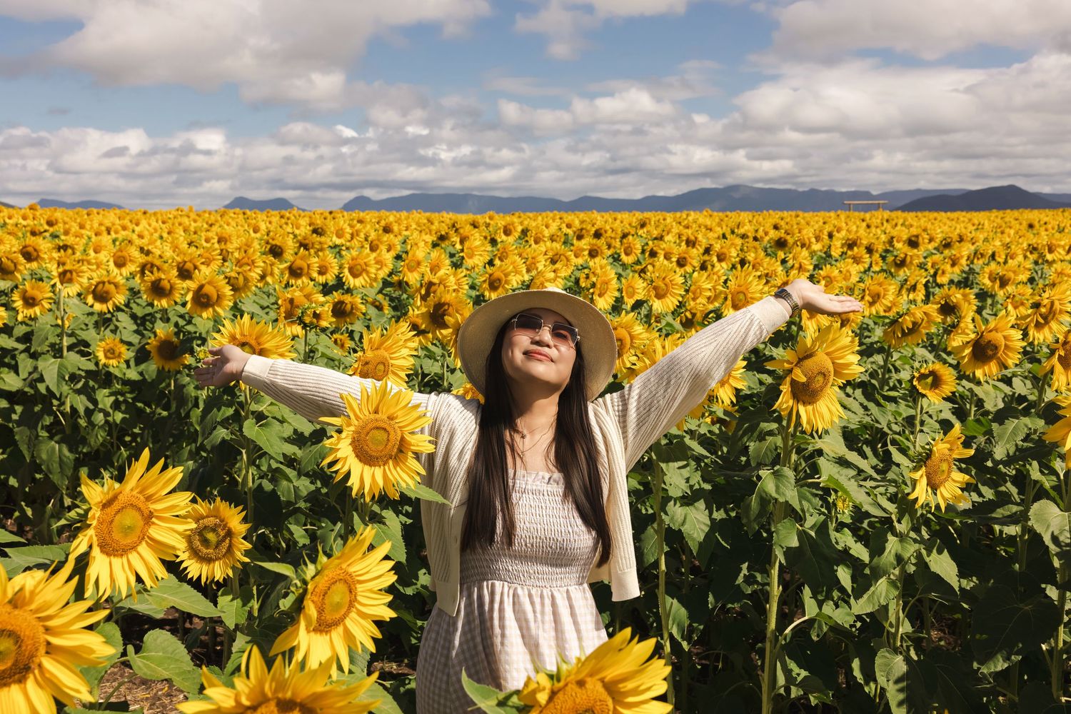 A joyful woman in a hat spreads her arms wide standing in a vast blooming sunflower field.