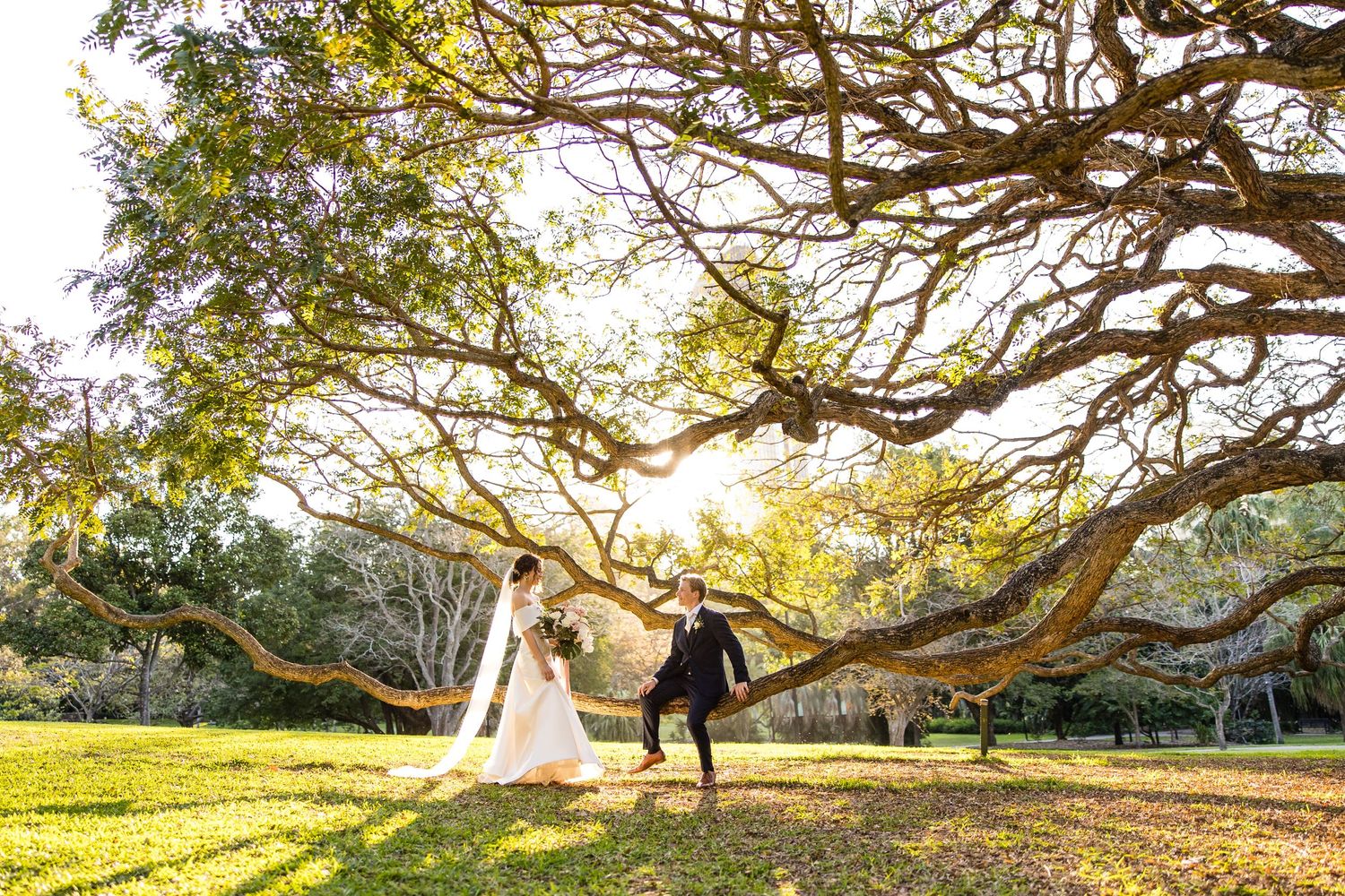 A wedding couple poses playfully under a sprawling tree branch in a sunlit garden setting.
