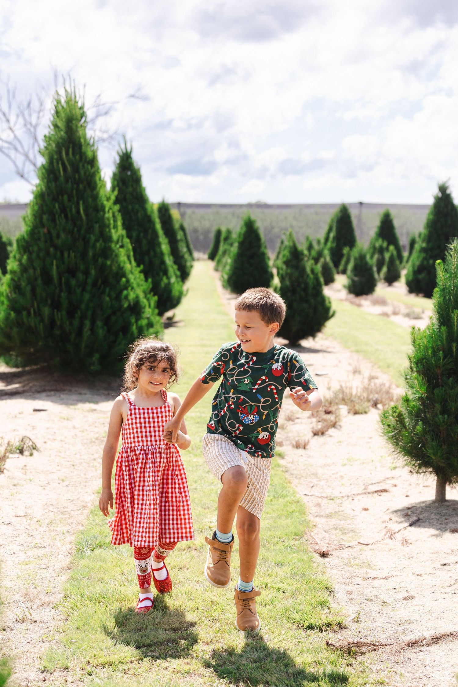 Two small children walk together between rows of evergreen trees at a Christmas tree farm on a sunny day.