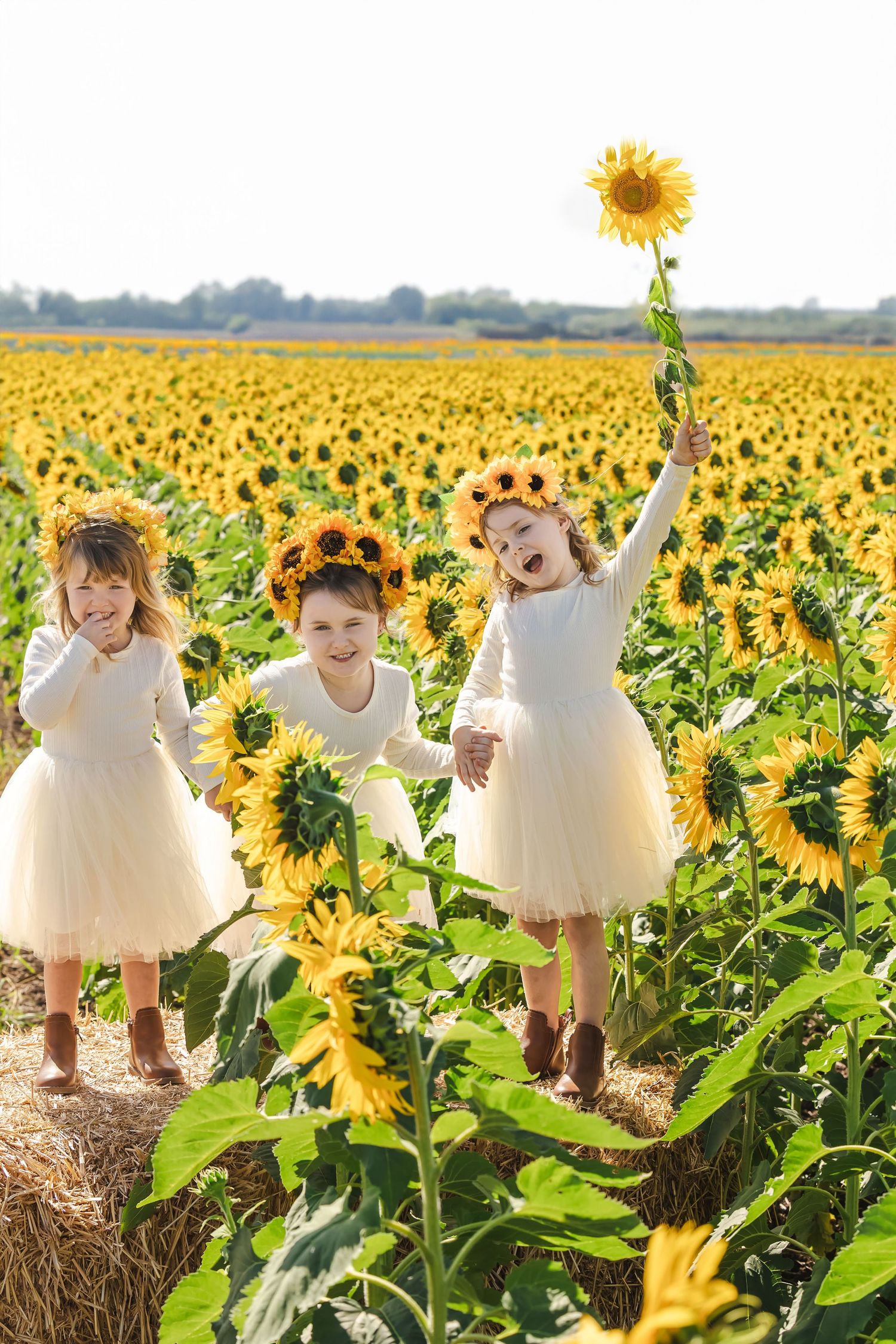 Three children in white dresses play joyfully among bright yellow sunflowers in a vast summer field.