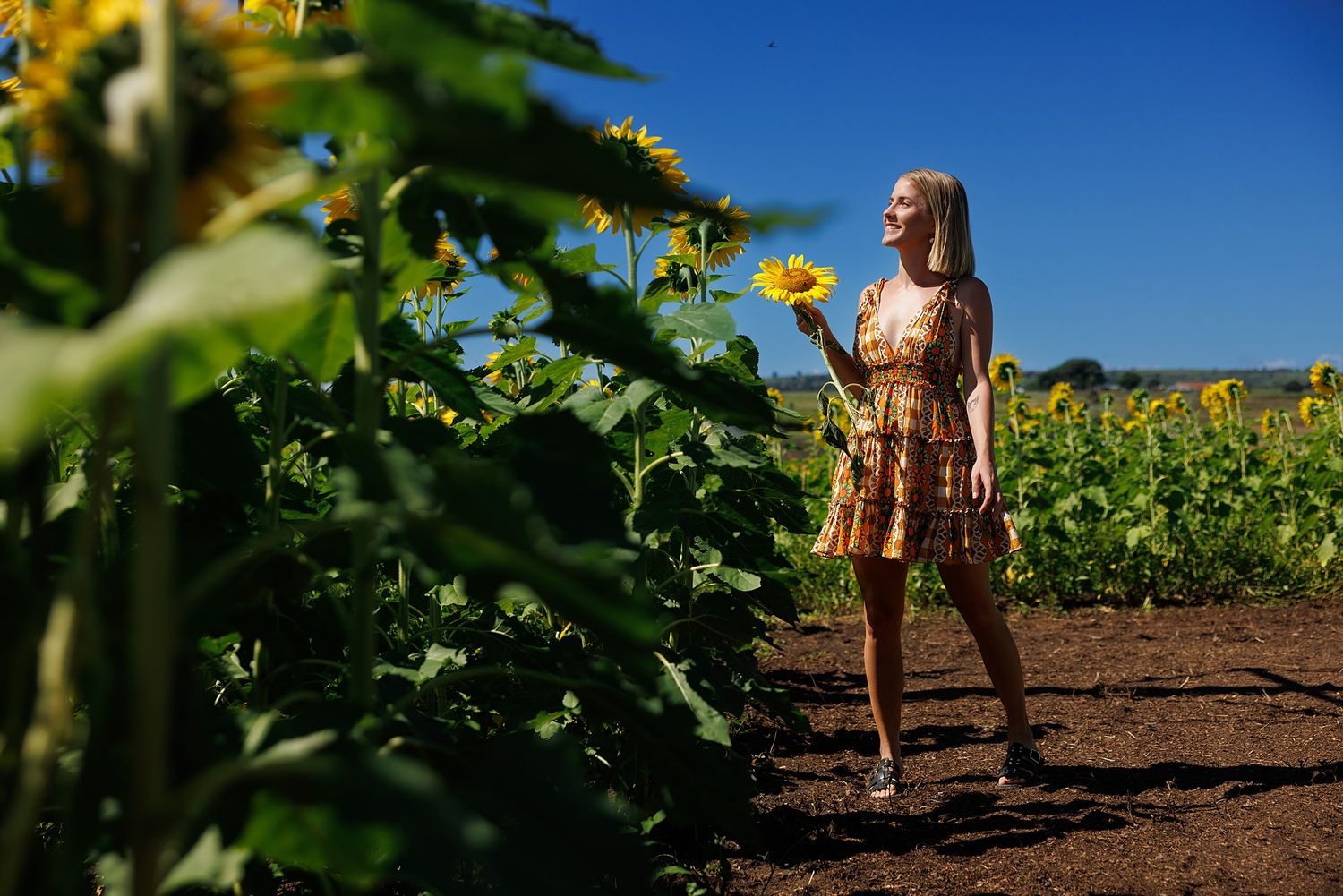 Person in a floral dress stands among bright yellow sunflowers in a field on a sunny summer day.