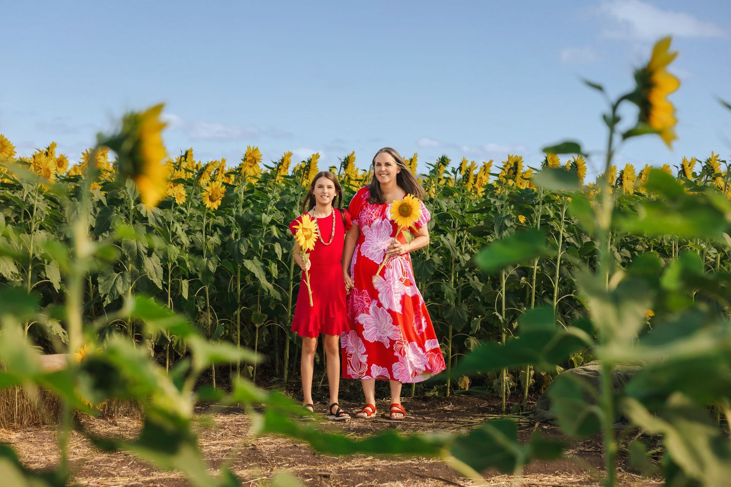 Mother and daughter in red dresses holding sunflowers, standing in a vibrant sunflower field.
