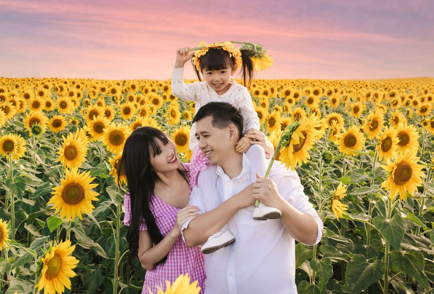 Couple embraces in a vibrant sunflower field at sunset creating a romantic summer scene.