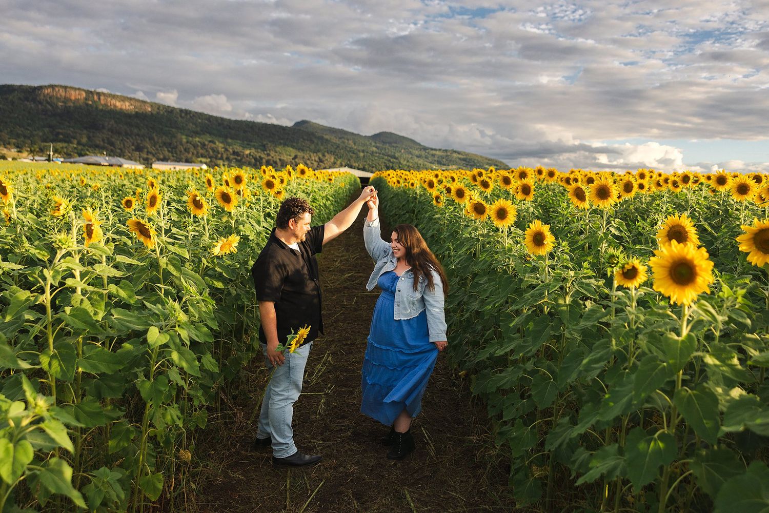 Couple dancing together in a path between rows of tall sunflowers at sunset with mountains in the background.