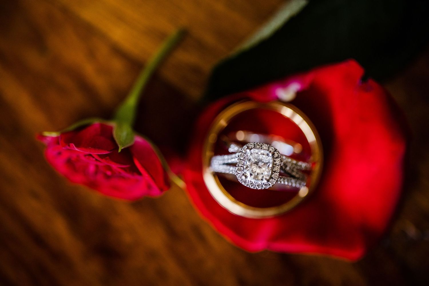 Wedding rings rest on red rose petals in a romantic macro photography composition.