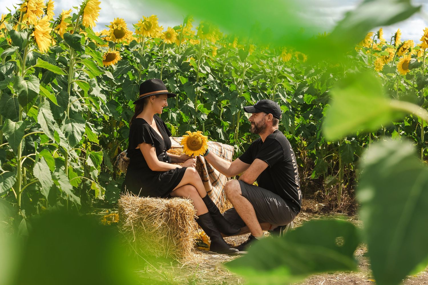 Romantic couple sitting on hay bales surrounded by tall sunflowers in a lush field.