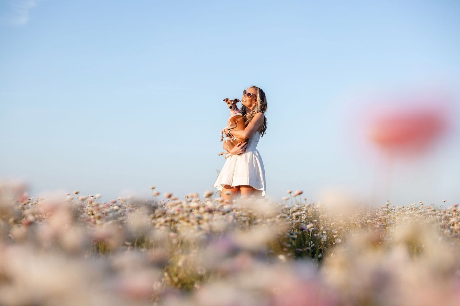 A young woman in a white dress stands in a field of flowers, holding a small dog and enjoying the outdoors.