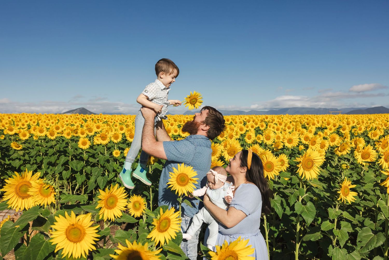 Happy family with two young children playing in a vast sunflower field under clear blue sky.