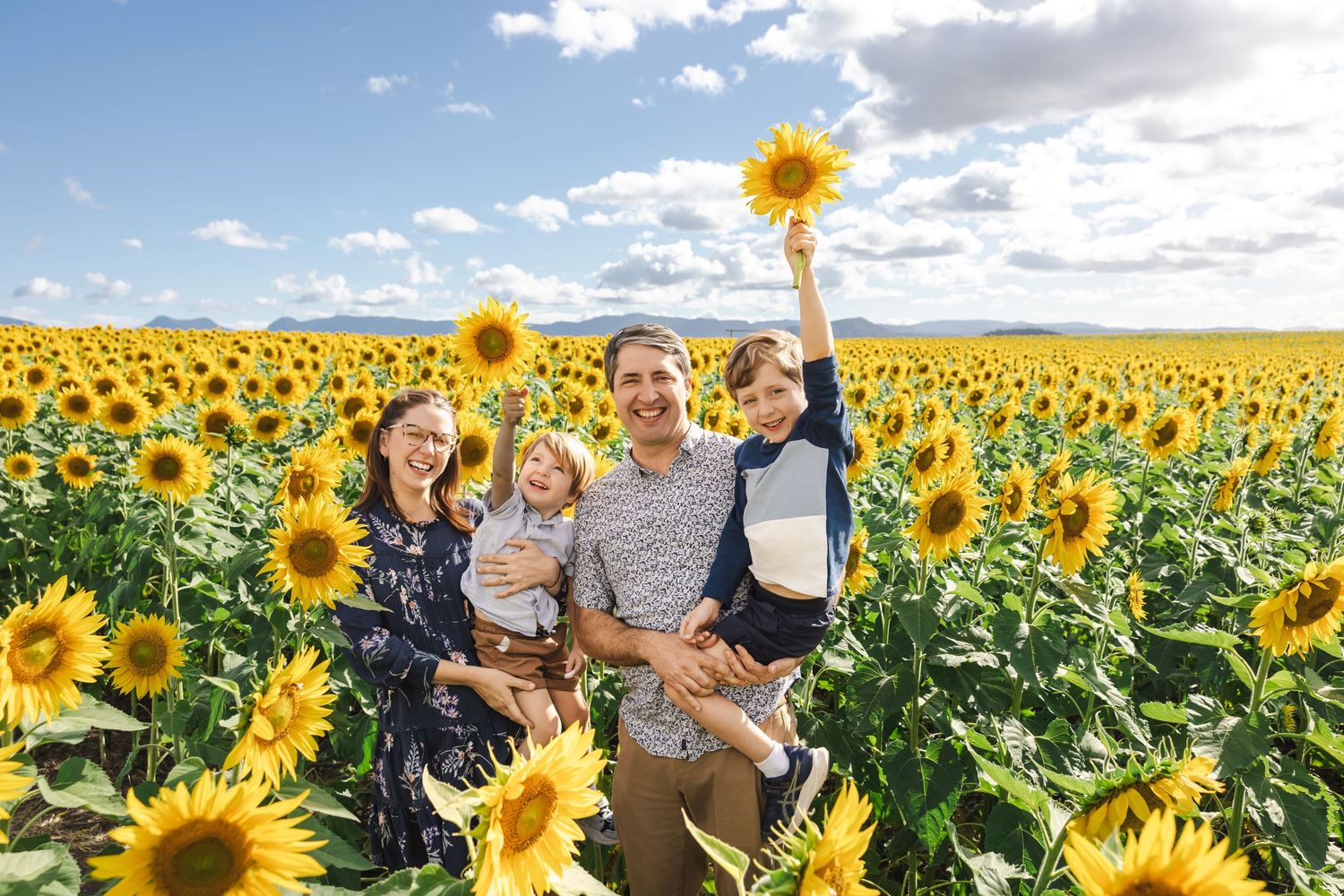 A vibrant field of blooming sunflowers stretches towards the horizon under a bright blue summer sky with puffy white clouds.
