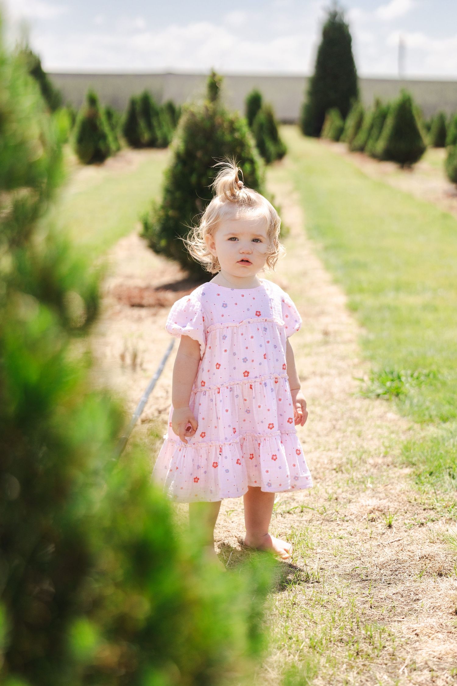 A small child in a pink polka dot dress walks along a path between rows of evergreen trees on a sunny day.