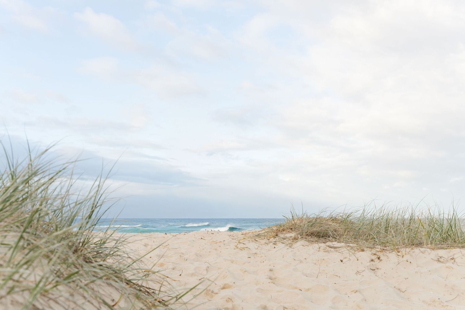 Scenic beach landscape with sea oats swaying in the breeze along sandy dunes against a blue ocean backdrop.