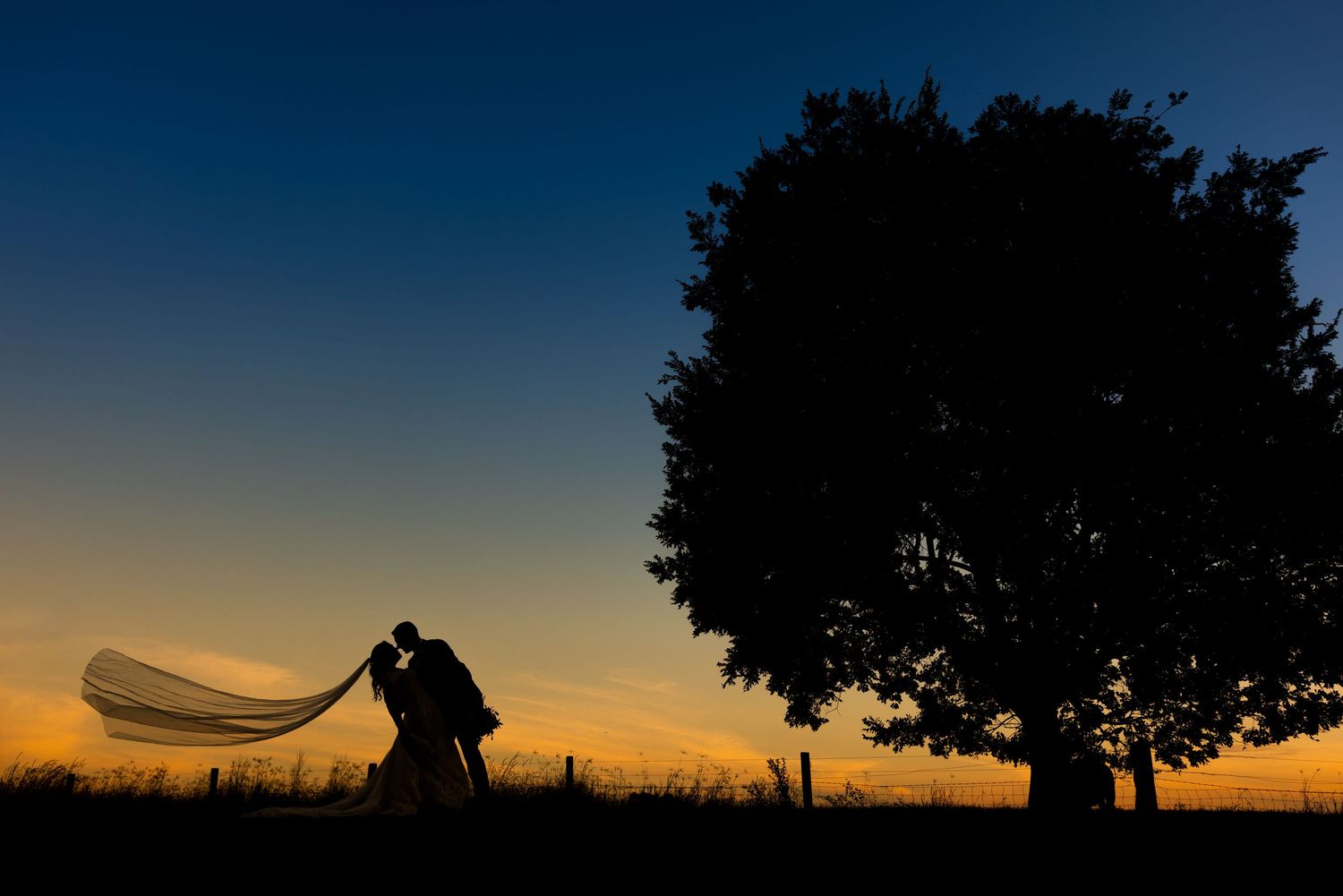 Silhouetted couple embracing against a vibrant orange sunset sky with trees in the background.
