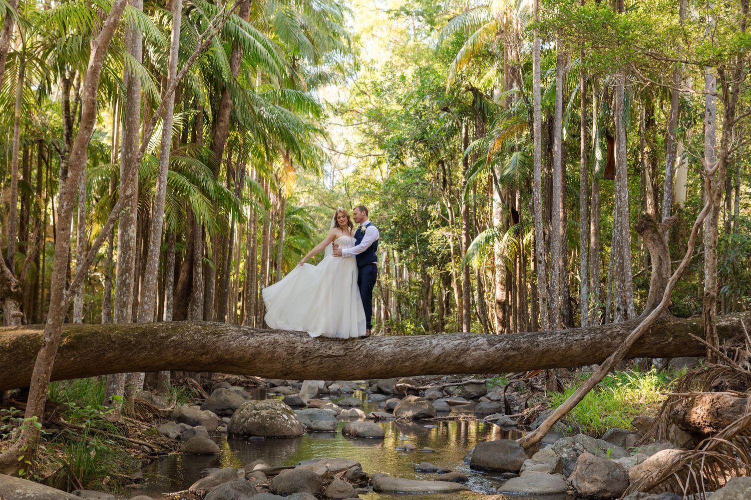 A couple in wedding attire stands on a fallen log in a sunlit forest surrounded by tall trees and lush greenery.
