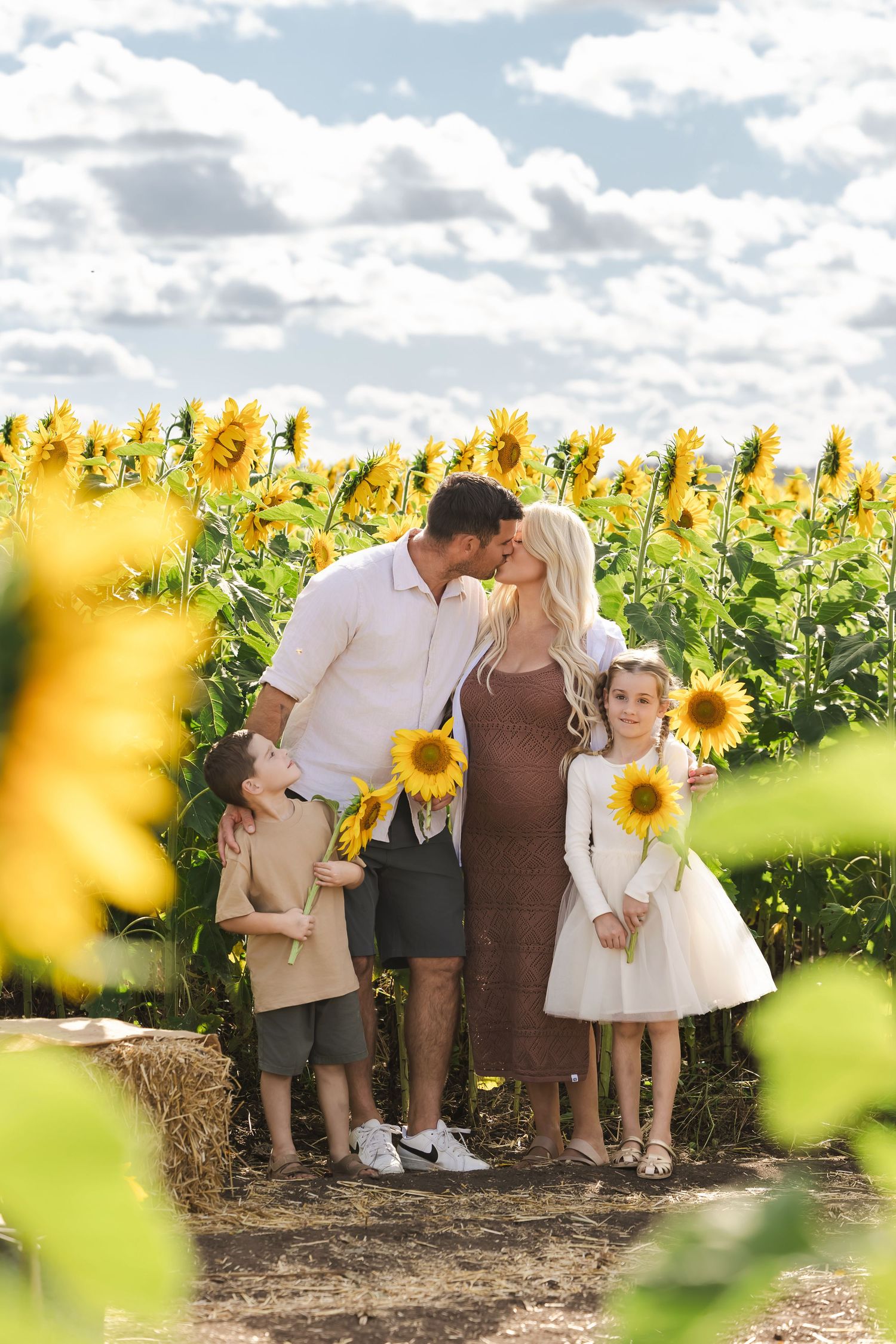 Couple kissing with two children holding sunflowers in a bright sunflower field.