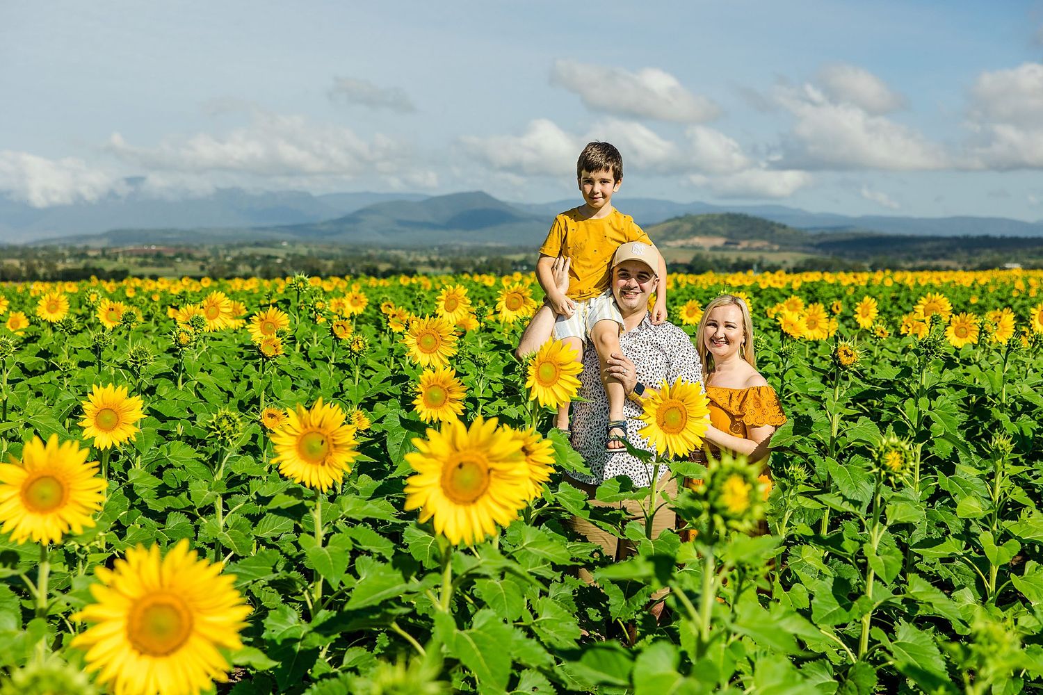 A vibrant field of bright yellow sunflowers stretches out beneath blue skies and mountain views.