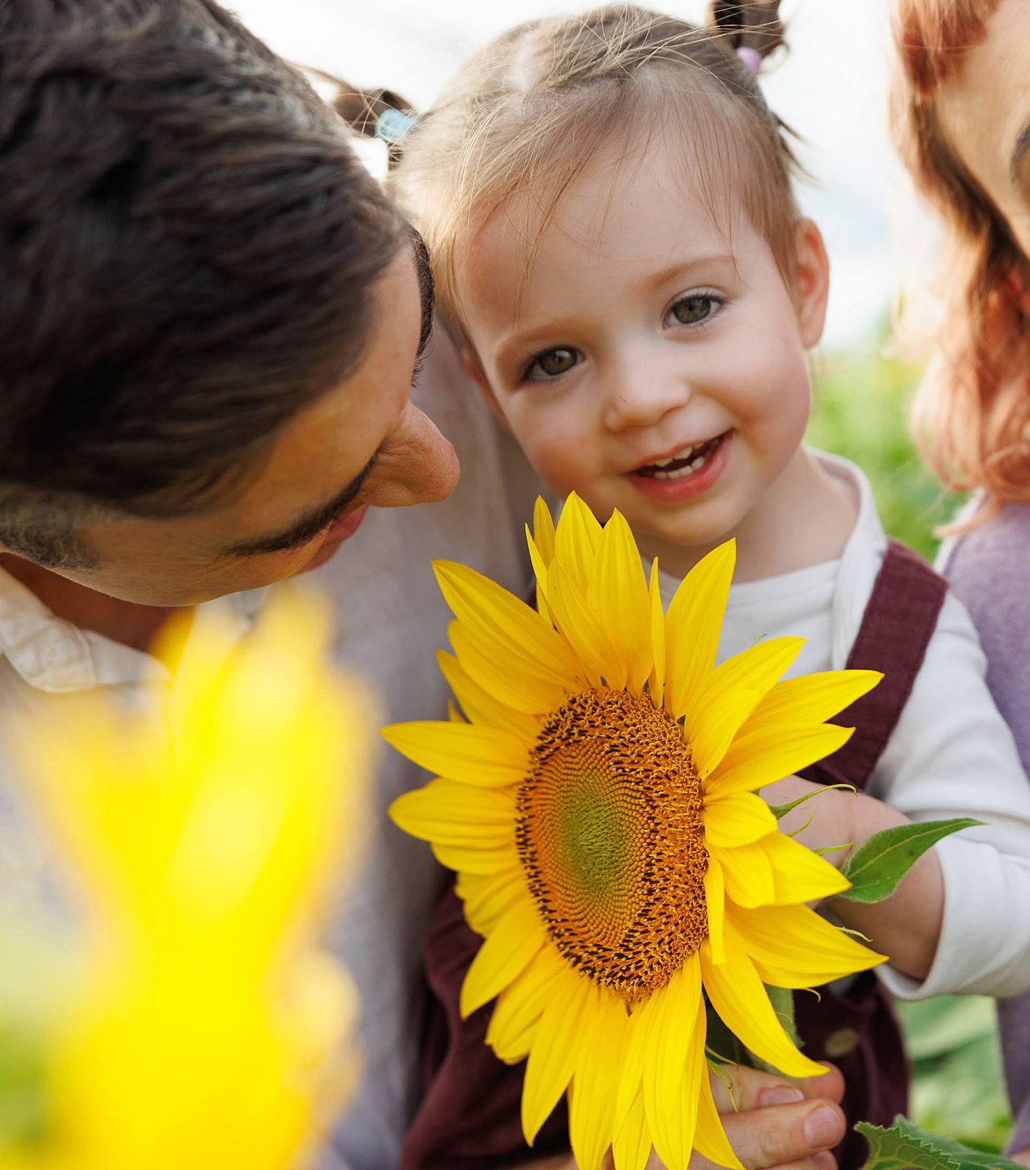 Bright yellow sunflower in closeup with blurred figures admiring it in the background.