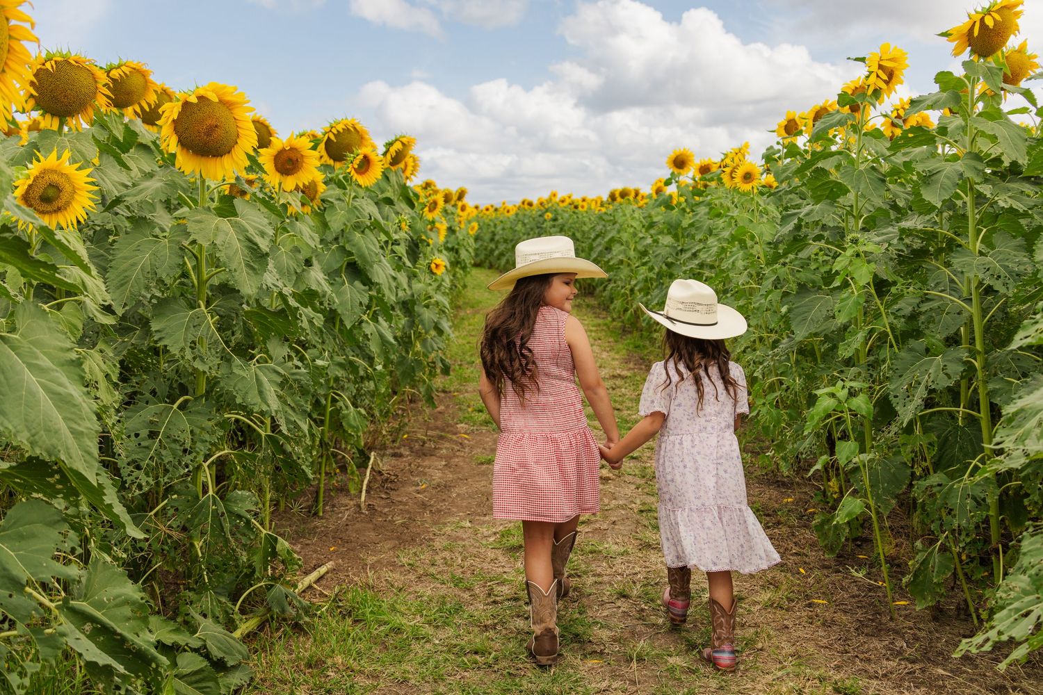 Two girls in sundresses and straw hats walk hand-in-hand through a vibrant sunflower field on a sunny day.
