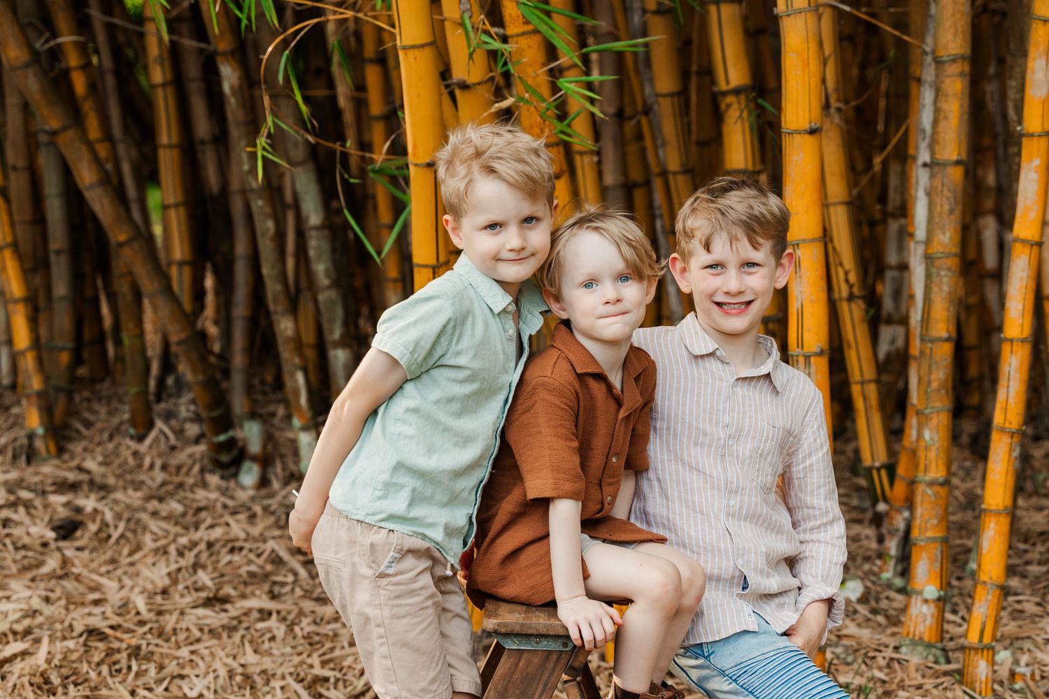 Family portrait session in a golden bamboo forest with natural lighting and casual poses.