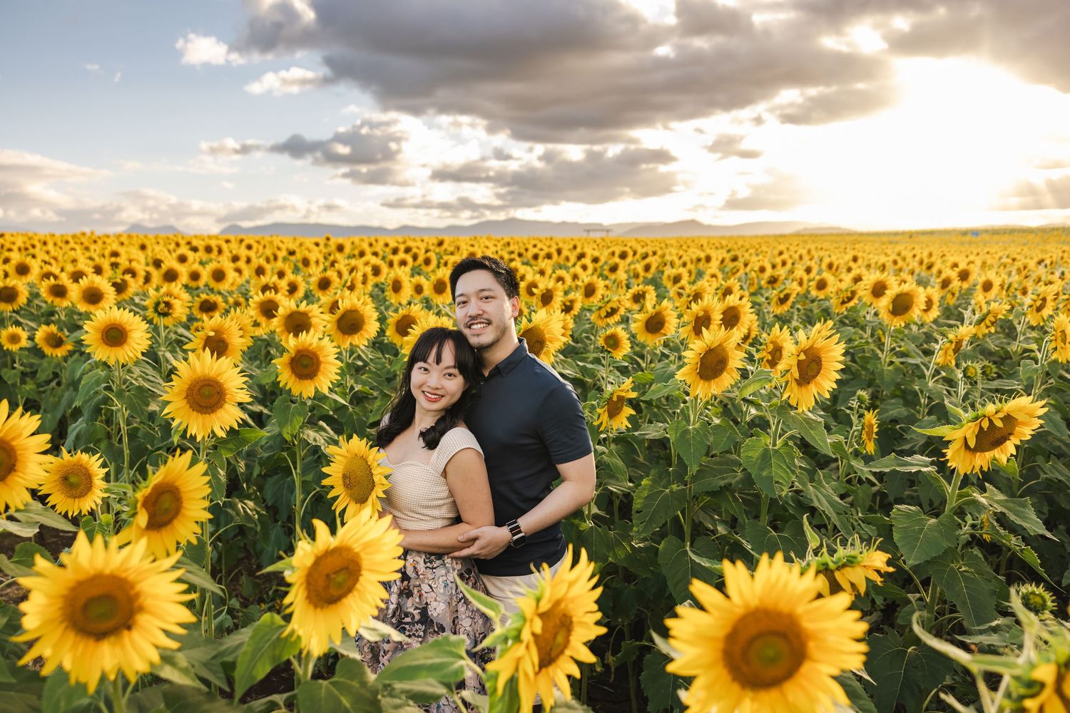 Golden sunflowers stretch across a vast field under dramatic evening clouds at sunset.