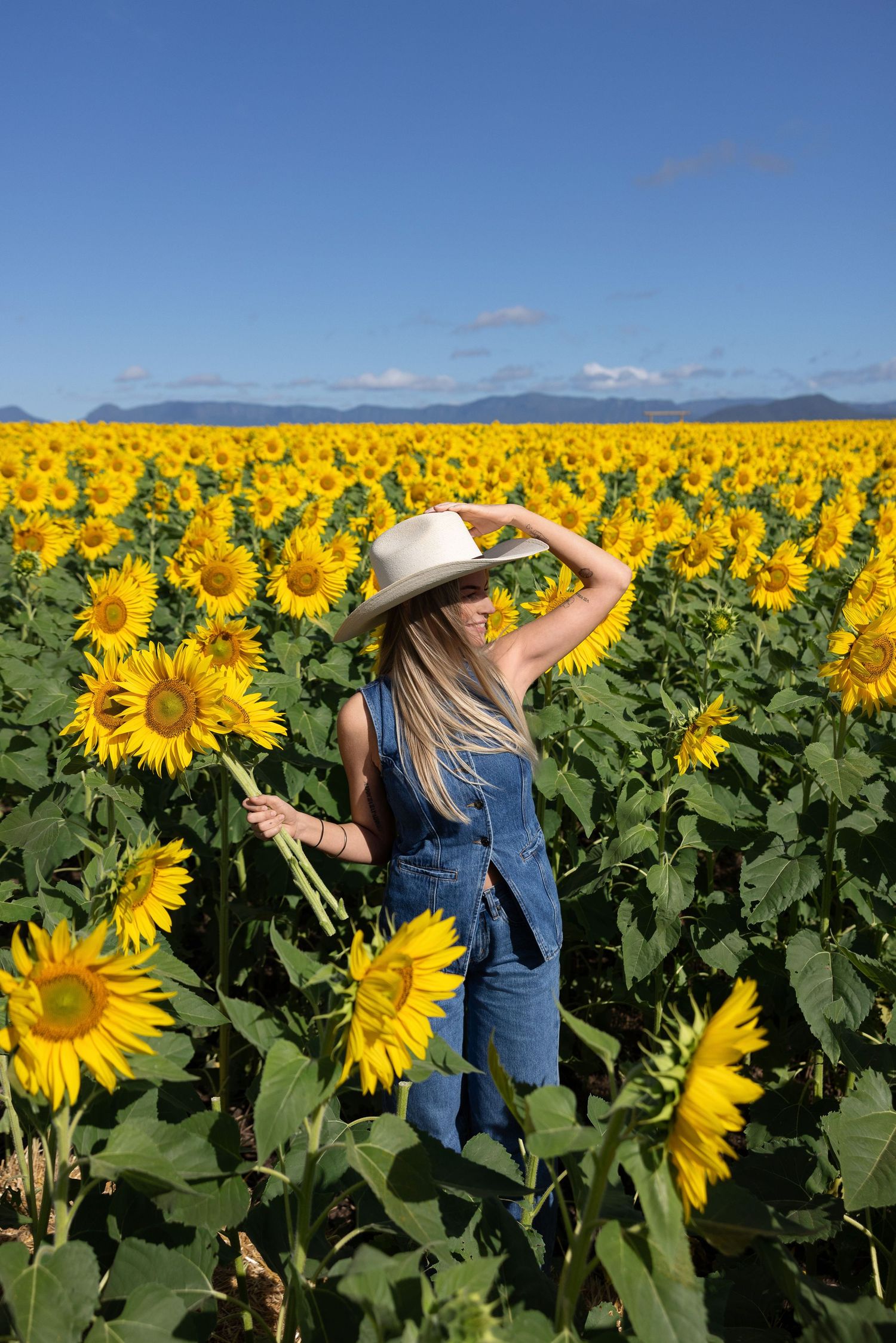 Woman in denim overalls and white cowboy hat holding a sunflower in a vast sunflower field under blue sky.