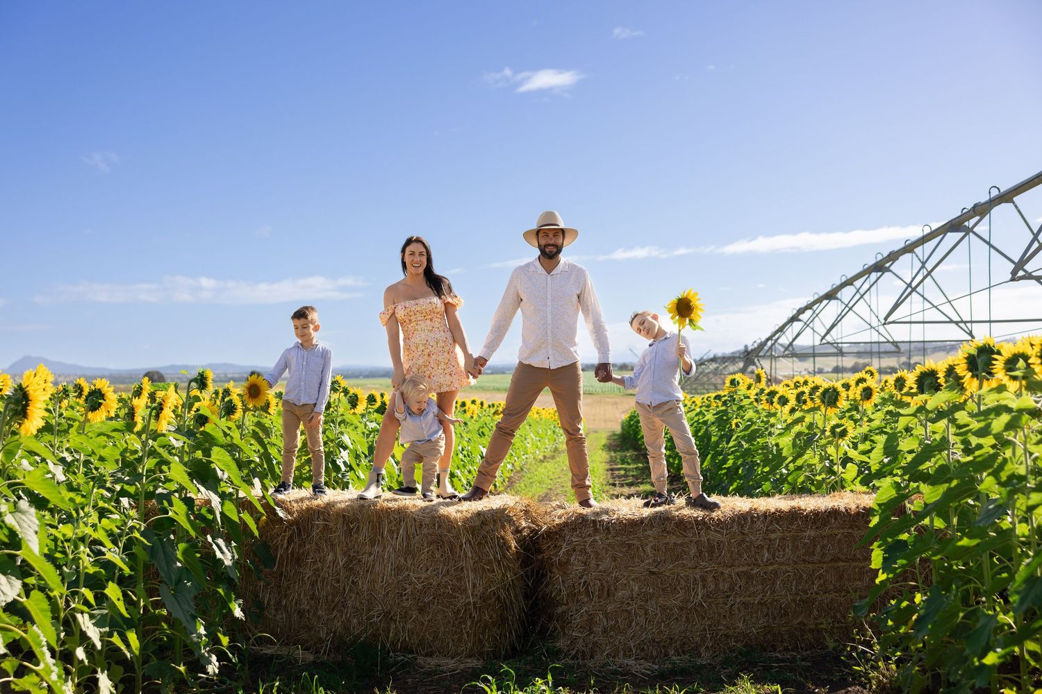 People walking through a vibrant sunflower field on a sunny day with irrigation equipment in the background.