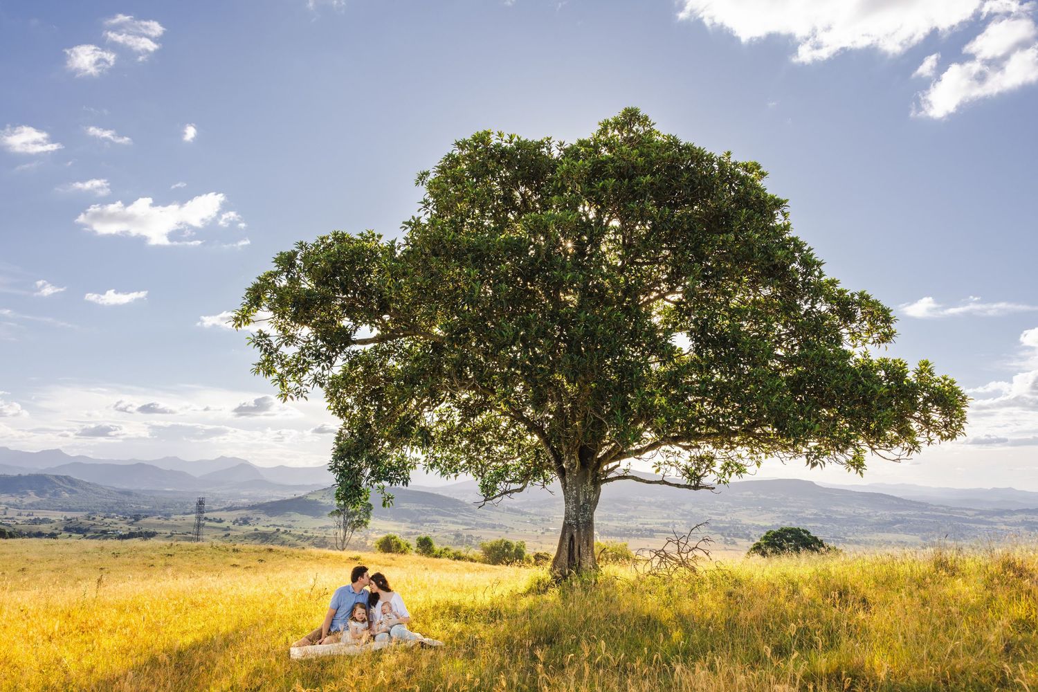 Couple sitting under a large tree in a golden field with mountain views and blue sky.