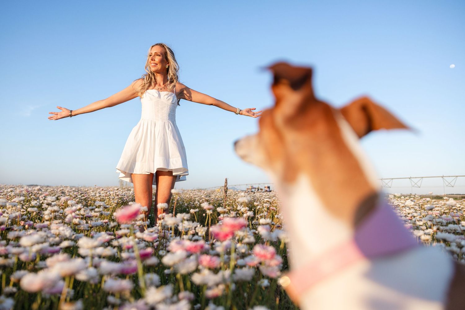 Woman in white dress stands arms outstretched in a pink flower field with a dog in the foreground.