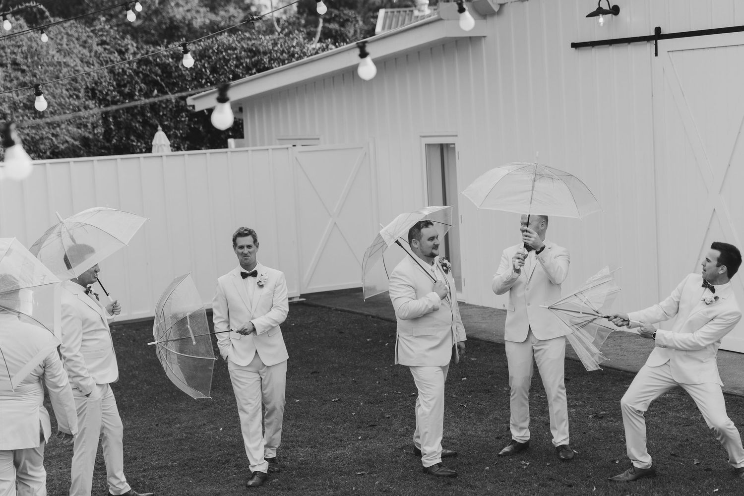 Groomsmen in white suits posing playfully with clear umbrellas outside a white barn at a wedding.