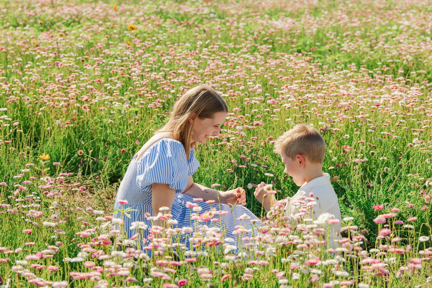 Mother and young son picking wildflowers together in a beautiful pink and green meadow on a sunny day.