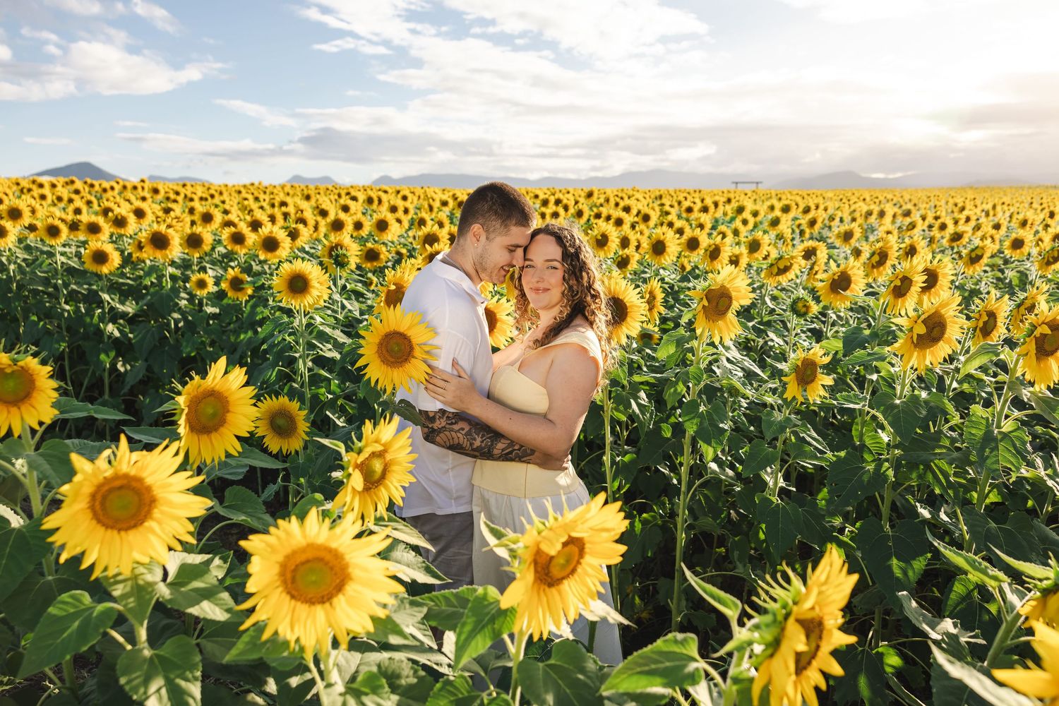 A couple embraces in a vibrant sunflower field during golden hour with bright yellow blooms stretching to the horizon.