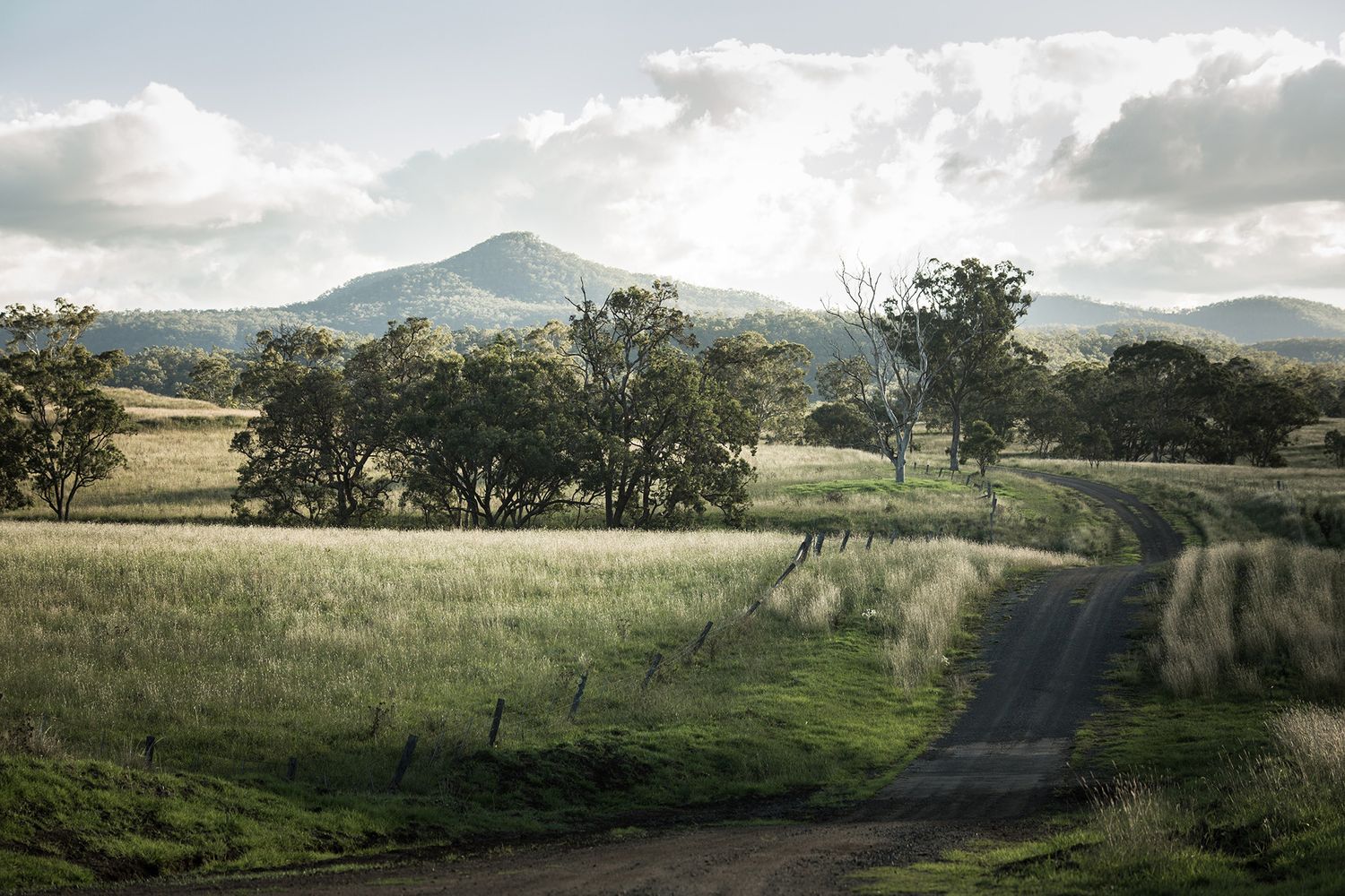 Winding country road through green rolling hills with mountains and trees in the distance.