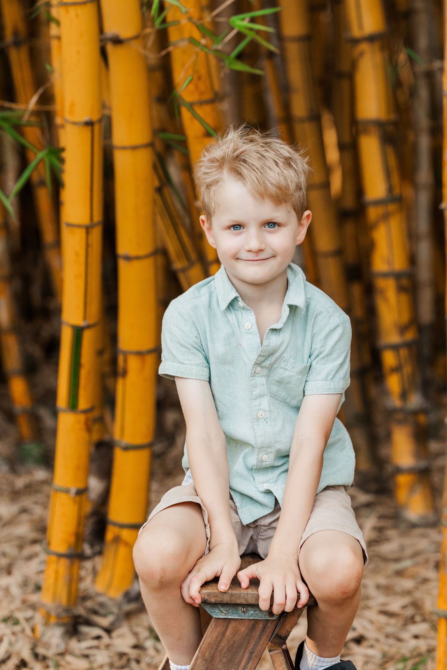 A young boy in a mint green shirt sits on a wooden bench against a backdrop of golden bamboo stalks.