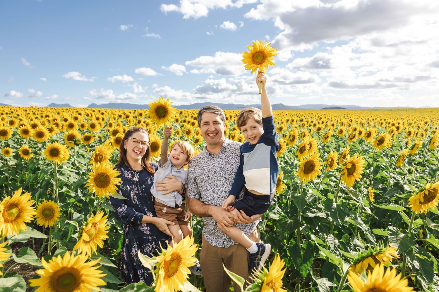 Joyful family of four posing in a large sunflower field with a child holding a sunflower.