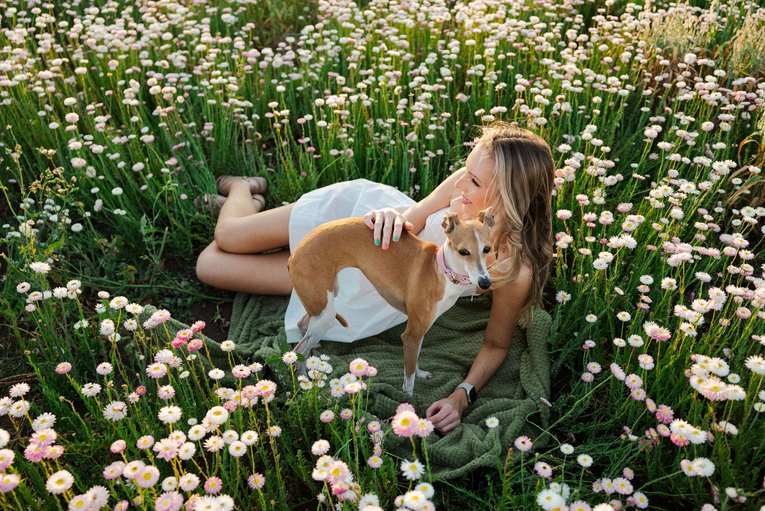 Woman in white dress lying in a flower field with her brown and white dog on a sunny day.