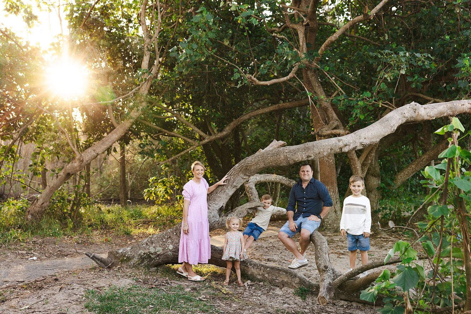 Group stands by twisted tree branch during golden sunset hour in lush natural setting.