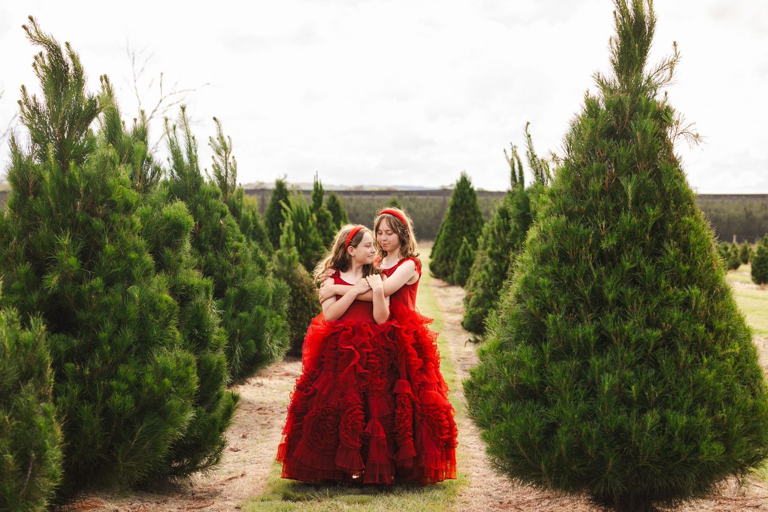 A couple in red formal attire shares a romantic moment among evergreen trees at a Christmas tree farm.