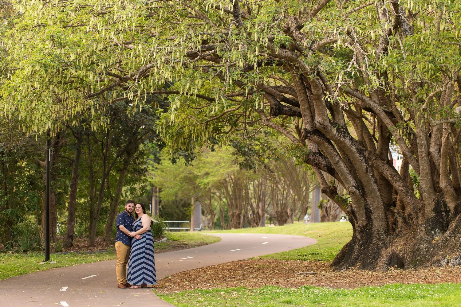 Tree-lined path in a park shows couples walking under the natural canopy of mature trees on a sunny day.