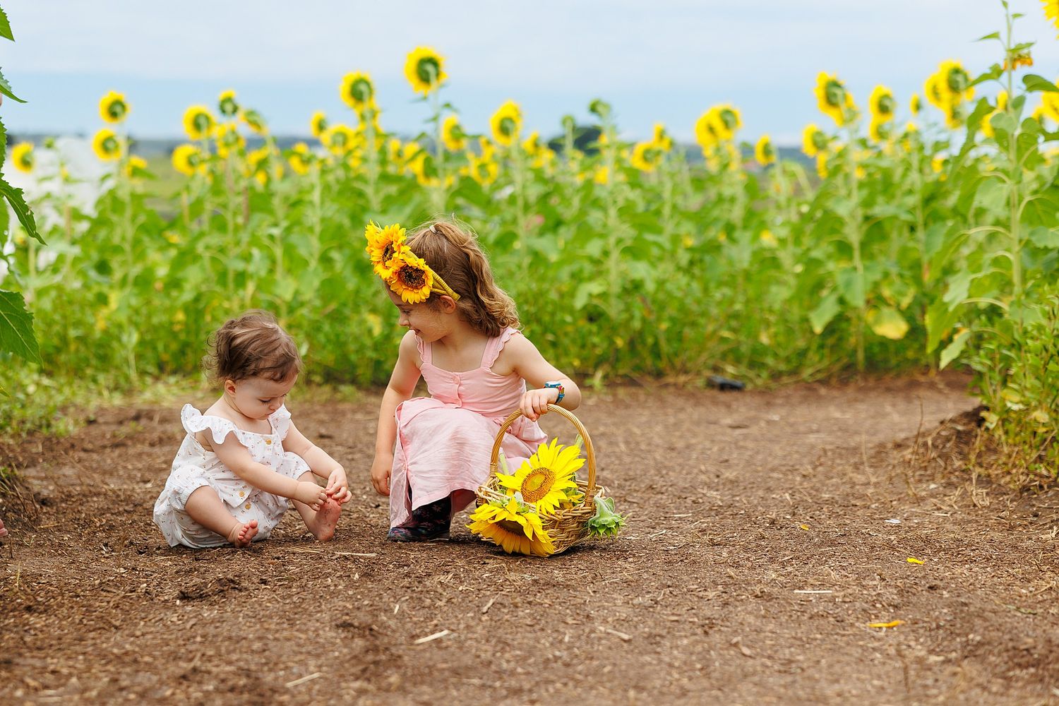 Two children play in the dirt near blooming sunflowers on a sunny day in pink and white dresses.