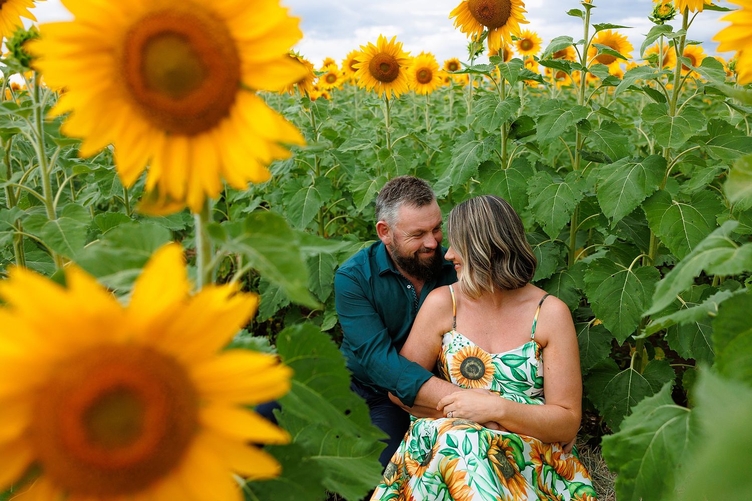 Couple shares romantic moment together in blooming sunflower field during summer.